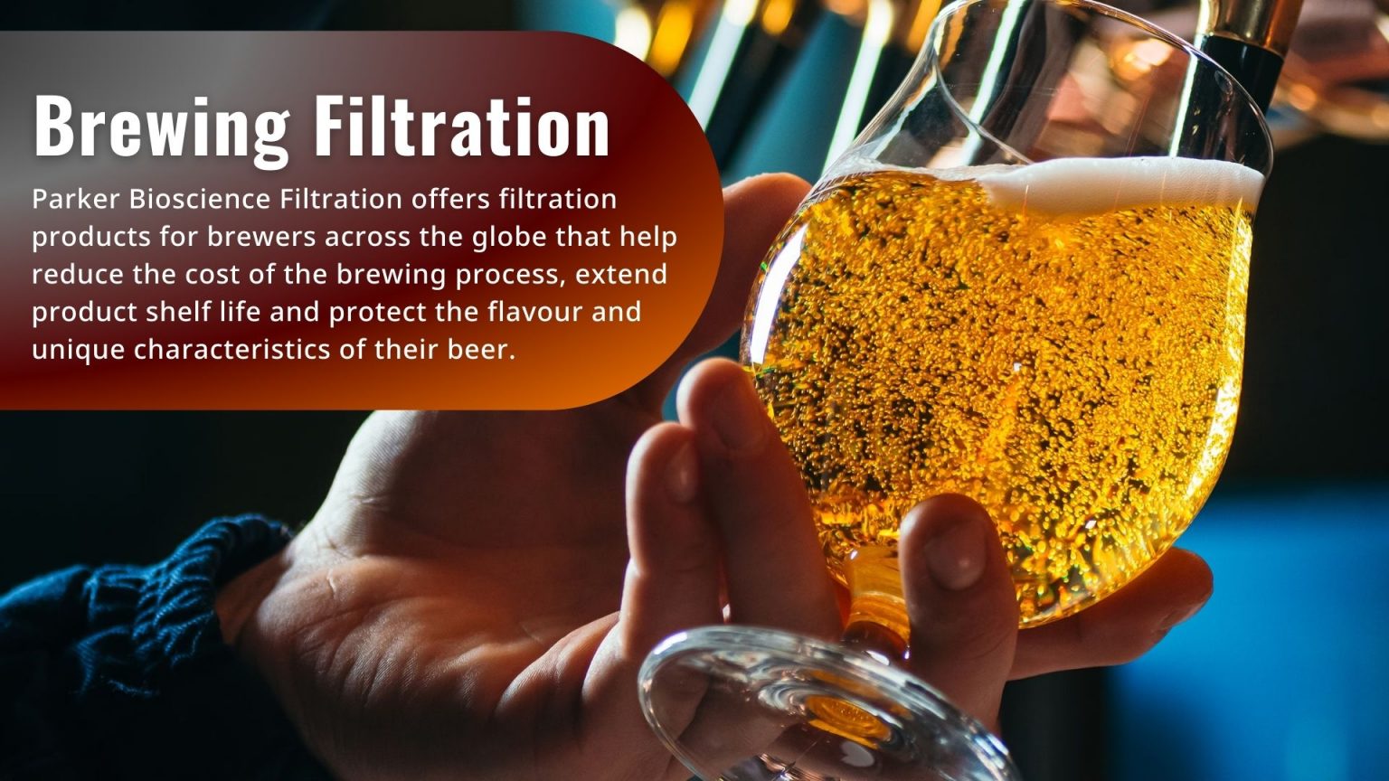 Process Filtration – Domnick | Part of RS Group