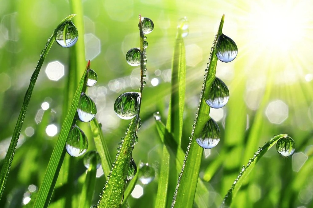 What Is Dew Point What Is Dew Point