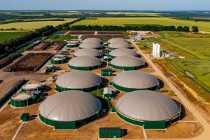 Biogas Dehumidification