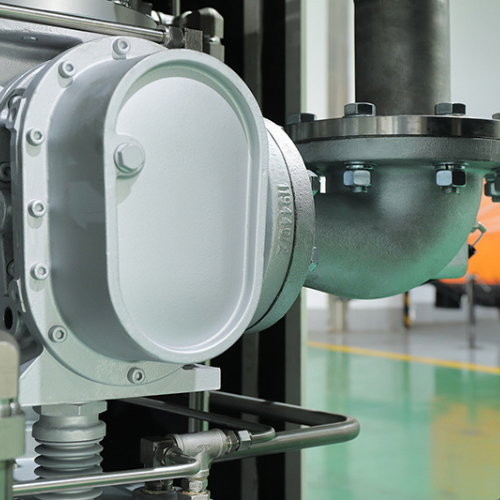 DWWDVWWDWL Oil-free Screw Compressor 5