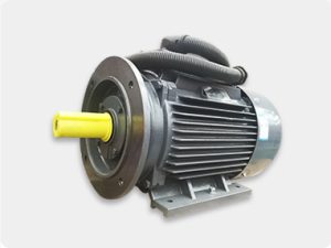 Premium_Efficiency_Drive_Motor Premium_Efficiency_Drive_Motor
