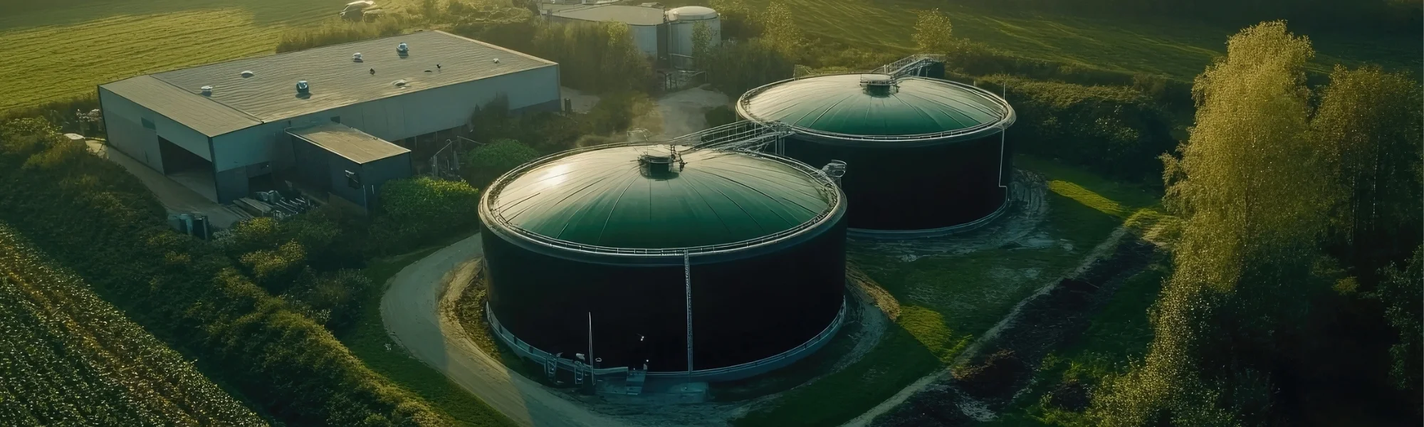 Biogas System